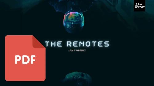 The Remotes Press Kit